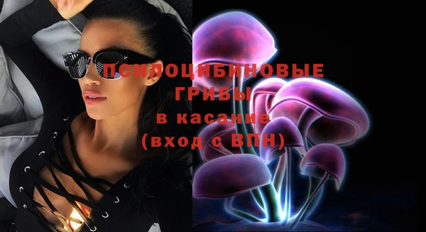 прущий лед Алзамай