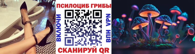 hydra ТОР  Кинешма  Галлюциногенные грибы мицелий 